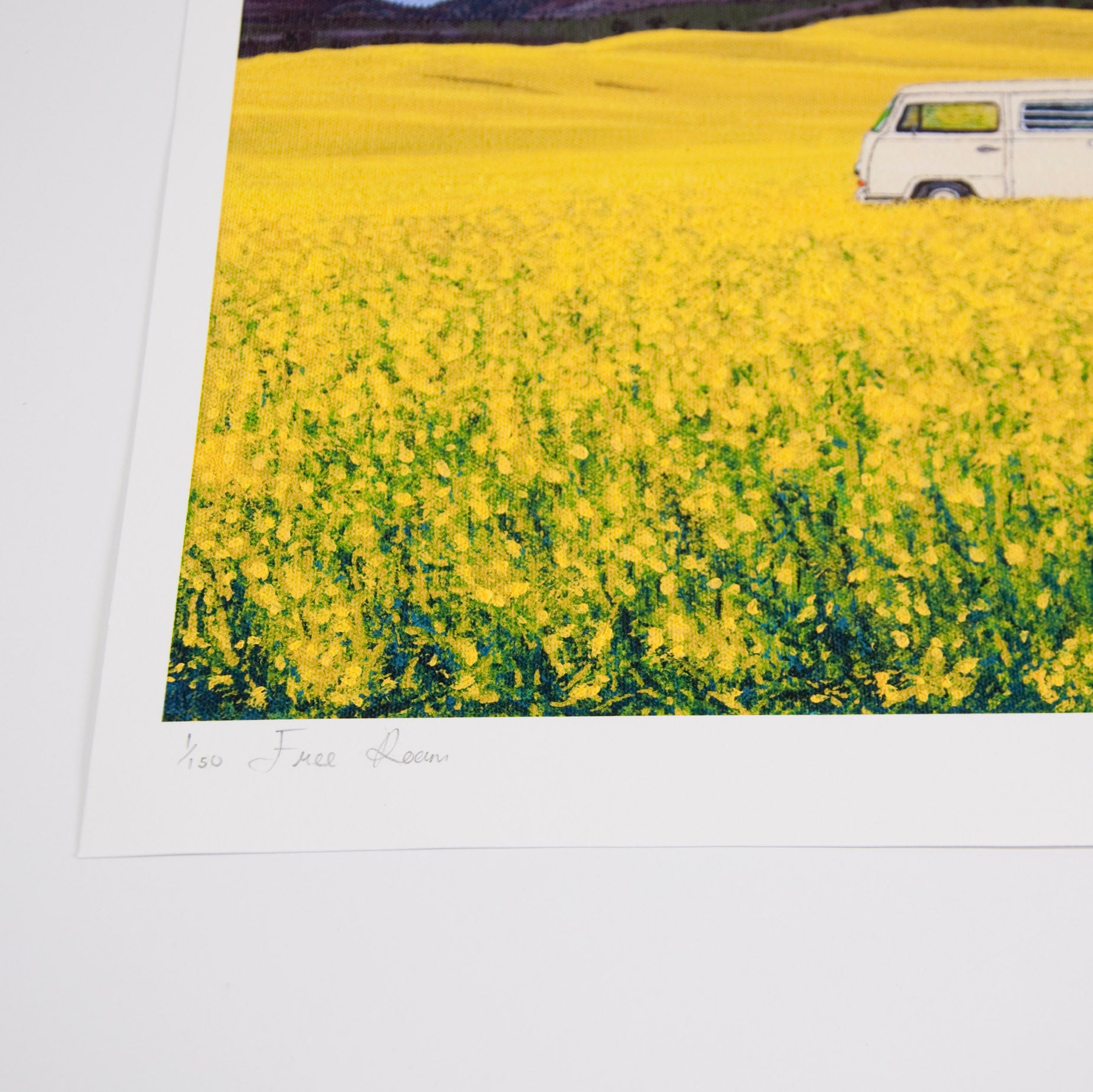 High quality giclee print of free roam, 1of 150.