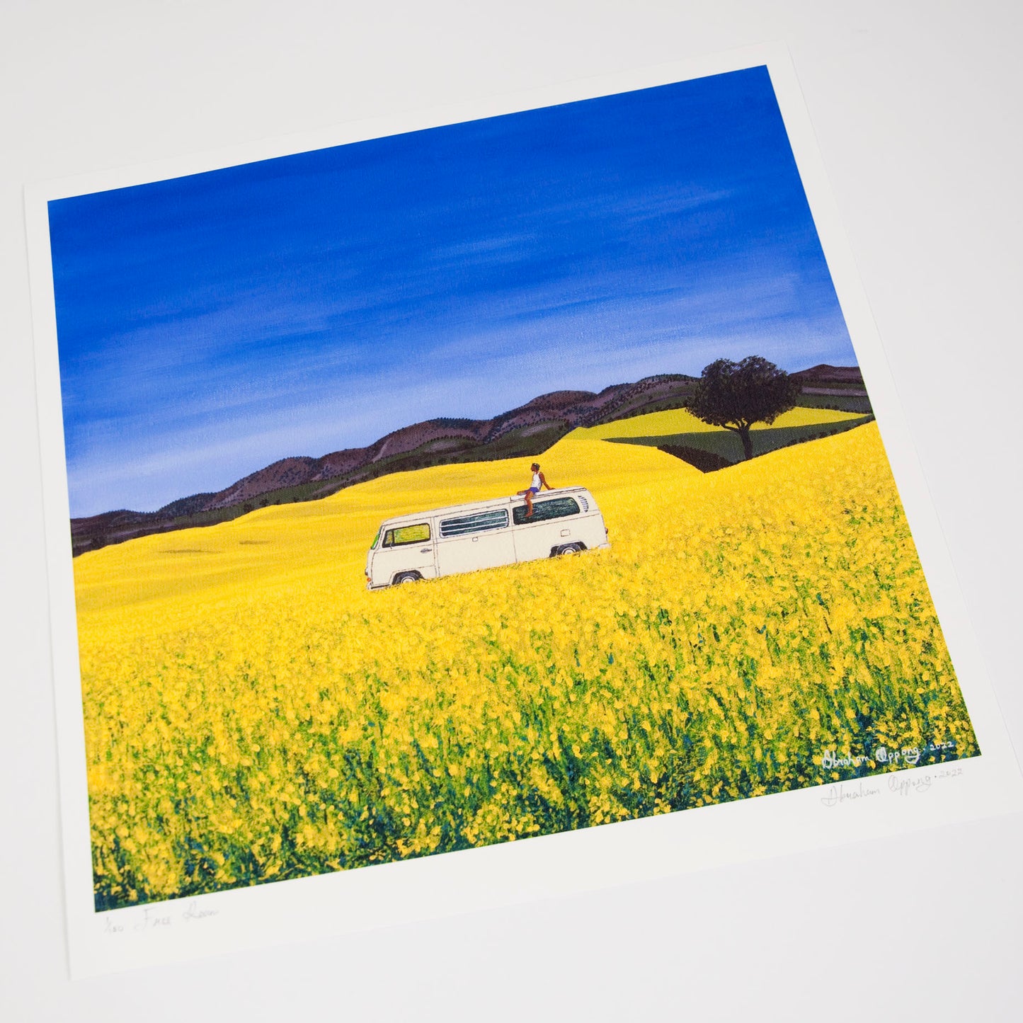 High quality giclee signed print of free roam, a man sitting on the roof of a white campervan on a sunny day of blue skies in yellow flower fields with trees and hills in the background.