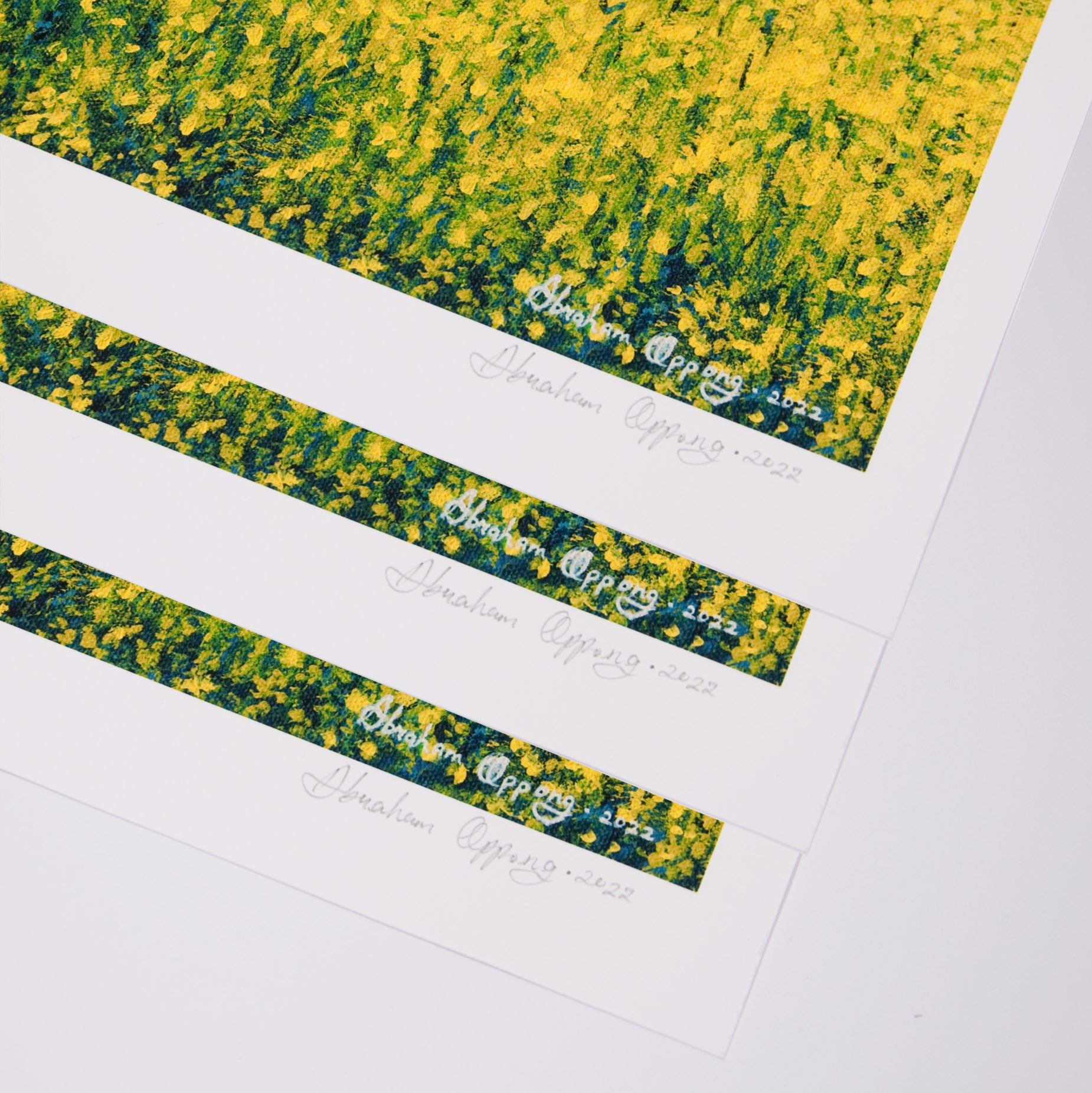 Artist signature on the bottom right corner of high quality print of free roam. 